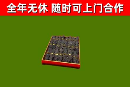 讷河市回收海参